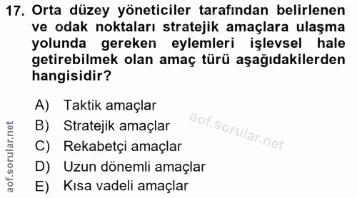 17. soru: Orta düzey yöneticiler tarafından belirlenen ve odak noktaları stratejik amaçlara ulaşma yolunda gereken eylemleri iş…