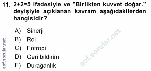 11. soru: 2+2=5 ifadesiyle ve "Birlikten kuvvet doğar." deyişiyle açıklanan kavram aşağıdakilerden hangisidir? A) Sinerji B) Ro…