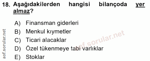 18. soru: Aşağıdakilerden hangisi bilançoda yer almaz? A) Finansman giderleri B) Menkul kıymetler rular.net C) Ticari alacaklar…