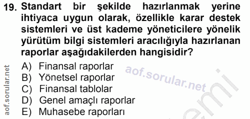 19. soru: Standart bir şekilde hazırlanmak yerine ihtiyaca uygun olarak, özellikle karar destek sistemleri ve üst kademe yöneti…