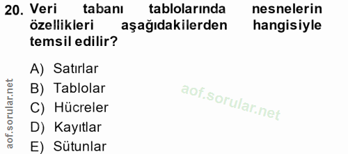 20. soru: Veri tabanı tablolarında nesnelerin özellikleri aşağıdakilerden hangisiyle temsil edilir? A) Satırlar B) Tablolar C)…
