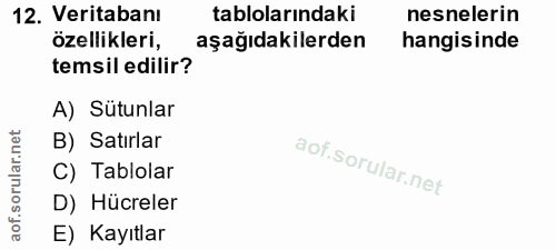12. soru: Veritabanı tablolarındaki nesnelerin özellikleri, aşağıdakilerden hangisinde temsil edilir? A) Sütunlar B) Satırlar a…