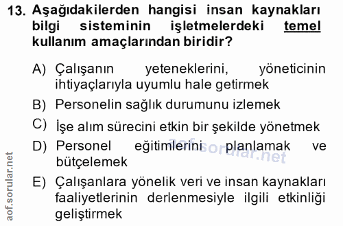 13. soru: Aşağıdakilerden hangisi insan kaynakları bilgi sisteminin işletmelerdeki@ temel kullanım amaçlarından biridir? A) Çal…