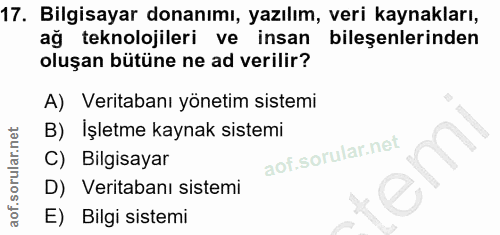 17. soru: Bilgisayar donanımı, yazılım, veri kaynakları, ağ teknolojileri ve insan bileşenlerinden oluşan bütüne ne ad verilir?…