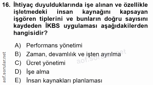 16. soru: Ihtiyaç duyulduklarında işe alınan ve özellikle işletmedeki insan kaynağını kapsayan işgören tiplerini ve bunların do…