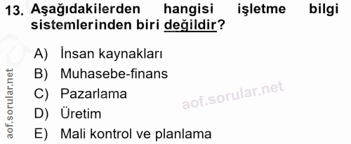 13. soru: Aşağıdakilerden hangisi işletme bilgi sistemlerinden biri değildir? A) Insan kaynakları B) Muhasebe-finans C) Pazarla…