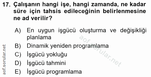 17. soru: Çalışanın hangi işe, hangi zamanda, ne kadar süre için tahsis edileceğinin belirlenmesine ne ad verilir? A) En uygun…
