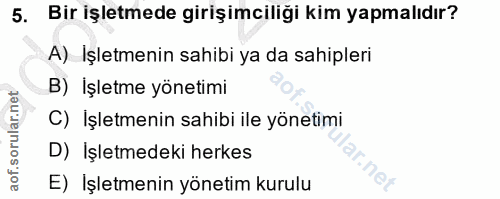 5. soru: Bir işletmede girişimciliği kim yapmalıdır? A) Işletmenin sahibi ya da sahipleri B) İşletme yönetimi C) İşletmenin sa…