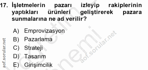 17. soru: İşletmelerin pazarı izleyip rakiplerinin yaptıkları ürünleri geliştirerek pazara sunmalarına ne ad verilir? A) Emprov…