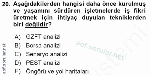 20. soru: Aşağıdakilerden hangisi daha önce kurulmuş ve yaşamını sürdüren işletmelerde iş fikri üretmek için ihtiyaç duyulan te…