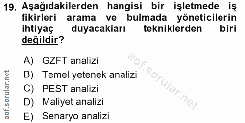 19. soru: Aşağıdakilerden hangisi bir işletmede iş fikirleri arama ve bulmada yöneticilerin ihtiyaç duyacakları tekniklerden bi…