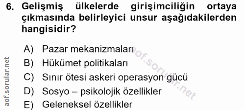 6. soru: Gelişmiş ülkelerde girişimciliğin ortaya çıkmasında belirleyici unsur aşağıdakilerden hangisidir? A) Pazar mekanizmal…
