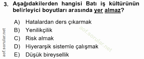 3. soru: Aşağıdakilerden hangisi Batı iş kültürünün belirleyici boyutları arasında yer almaz? A) Hatalardan ders çıkarmak B) Y…