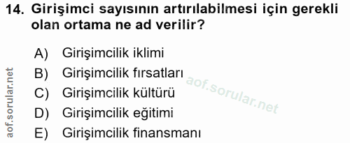 14. soru: Girişimci sayısının artırılabilmesi için gerekli olan ortama ne ad verilir? A) Girişimcilik iklimi B) Girişimcilik fı…