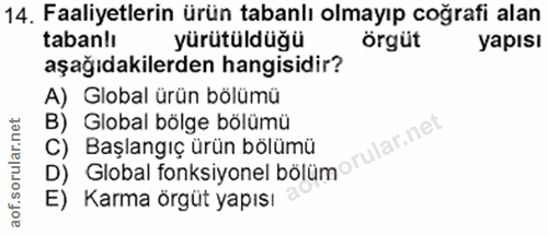 14. soru: Faaliyetlerin ürün tabanlı olmayıp cografi alan tabanlı yürütüldüğü örgüt yapısı aşağıdakilerden hangisidir? A) Globa…