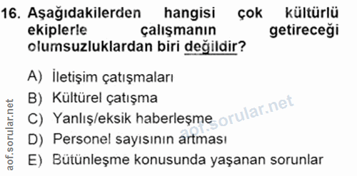 16. soru: Aşağıdakilerden hangisi çok kültürlü ekiplerle çalışmanın getireceği olumsuzluklardan biri değildir? A) İletişim çatı…