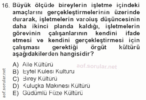 16. soru: Büyük olçüde bireylerin işletme içindeki amaçlarını gerçekleştirmelerinin üzerinde durarak, işletmelerin varoluş düşü…