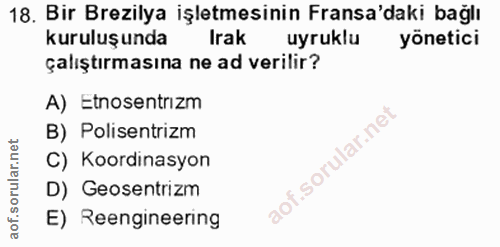18. soru: Bir Brezilya işletmesinin Fransa'daki bağlı kuruluşunda Irak uyruklu yönetici çalıştırmasına ne ad verilir? A) Etnose…