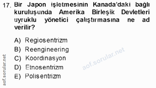 17. soru: Bir Japon işletmesinin Kanada'daki bağlı kuruluşunda Amerika Birleşik Devletleri uyruklu yönetici çalıştırmasına ne a…