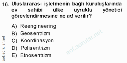 16. soru: Uluslararası işletmenin bağlı kuruluşlarında ev sahibi ülke uyrukiu yönetici görevlendirmesine ne ad verilir? A) Reen…