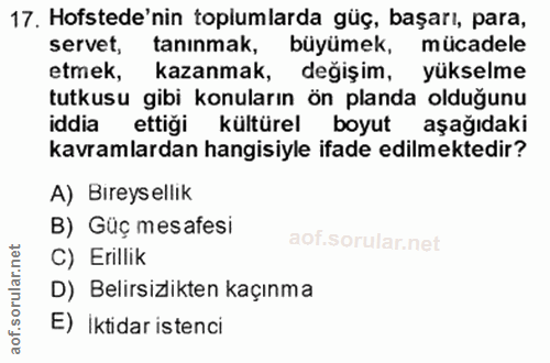17. soru: Hofstede'nin toplumlarda güç, başarı, para, servet, tanınmak, büyümek, mücadele etmek, kazanmak, değişim, yükselme tu…