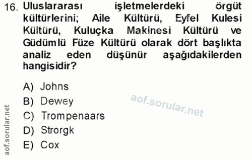 16. soru: Uluslararası işletmelerdeki örgüt kültürlerini; Aile Kültürü, Eyfel Kulesi Kültürü, Kuluçka Makinesi Kültürü ve Güdüm…