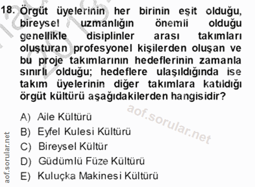 18. soru: Orgüt üyelerinin her birinin eşit olduğu, bireysel / uzmanlığın önemii olduğu genellikle disiplinler arası takimları…