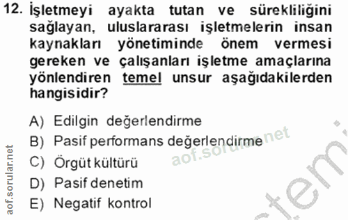 12. soru: İşletmeyi ayakta tutan ve sürekliliğini sağlayan, uluslararası işletmelerin insan kaynakları yönetiminde önem vermesi…