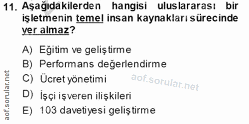 11. soru: Aşağıdakilerden hangisi uluslararası bir işletmenin temel insan kaynakları sürecinde yer almaz? A) Eğitim ve geliştir…