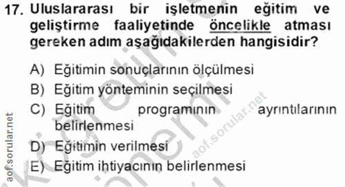 17. soru: Uluslararası bir işletmenin eğitim ve geliştirme faaliyetinde öncelikle atması gereken adım aşağıdakilerden hangisidi…