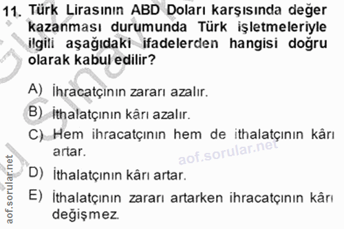 11. soru: Türk Lirasının ABD Doları karşısında değer kazanması durumunda Türk işletmeleriyle ilgili aşağıdaki ifadelerden hangi…
