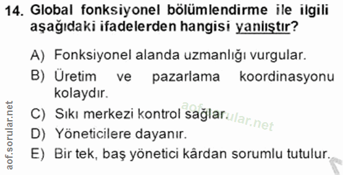 14. soru: Global fonksiyonel bölümlendirme ile ilgili aşağıdaki ifadelerden hangisi yaniıştır? A) Fonksiyonel alanda uzmanlığı…