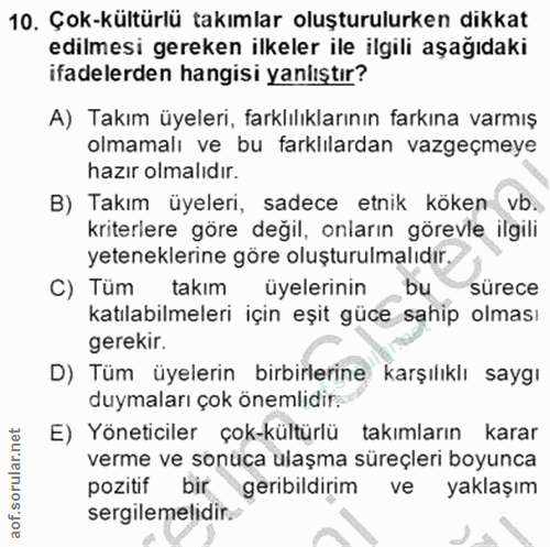 10. soru: Çok-kültürlü takımlar oluşturulurken dikkat edilmesi gereken ilkeler ile ilgili aşağıdaki ifadelerden hangisi yanlışt…