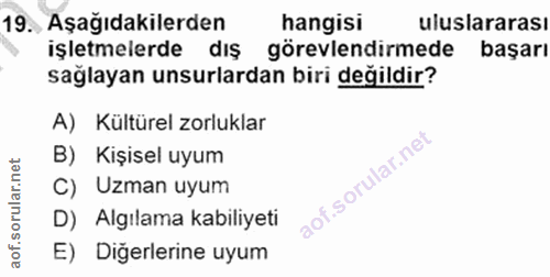 19. soru: Aşağıdakilerden hangisi uluslararası işletmelerde dış görevlendirmede başarı sağlayan unsurlardan biri değildir? A) K…