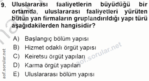 9. soru: Uluslararası faaliyetlerin büyüdüğü bir ortamda, uluslararası faaliyetleri yürüten bütün yan firmaların gruplandırıld…