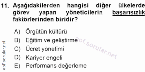 11. soru: Aşağıdakilerden hangisi diğer ülkelerde görev yapan yöneticilerin başarısızlık faktörlerinden biridir? A) Orgütün kül…