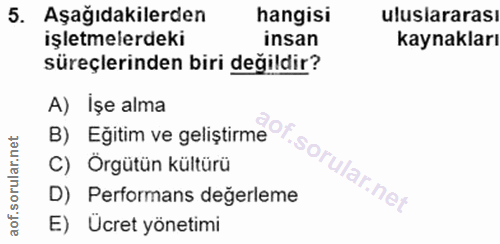 5. soru: Aşağıdakilerden hangisi uluslararası işletmelerdeki insan kaynakları süreçlerinden biri değildir? B) Eğitim ve gelist…
