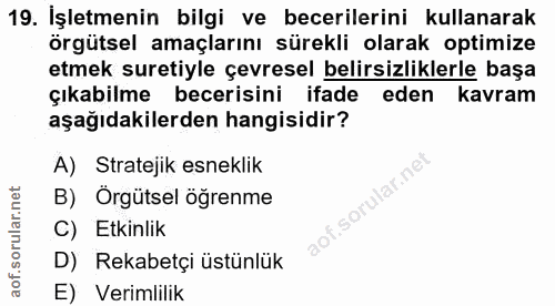 19. soru: İşletmenin bilgi ve becerilerini kullanarak örgütsel amaçlarını sürekli olarak optimize etmek suretiyle çevresel beli…