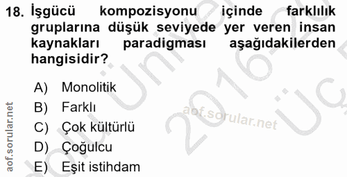 18. soru: Işgücü kompozisyonu içinde farklılık gruplarına düşük seviyede yer veren insan kaynakları paradigması aşağıdakilerden…