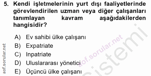 5. soru: Kendi işletmelerinin yurt dışı faaliyetlerinde görevlendirilen uzman veya diğer çalışanları tanımlayan kavram aşağıda…