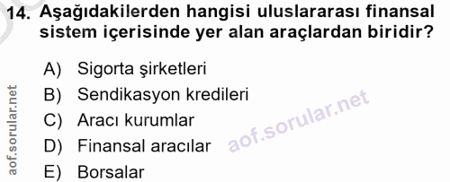 14. soru: Aşağıdakilerden hangisi uluslararası finansal sistem içerisinde yer alan araçlardan biridir? A) Sigorta şirketleri B)…
