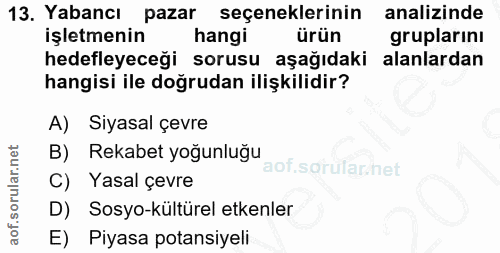 13. soru: Yabancı pazar seçeneklerinin analizinde işletmenin hangi ürün gruplarını hedefleyeceği sorusu aşağıdaki alanlardan ha…
