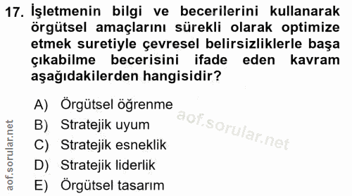 17. soru: İşletmenin bilgi ve becerilerini kullanarak örgütsel amaçlarını sürekli olarak optimize etmek suretiyle çevresel beli…