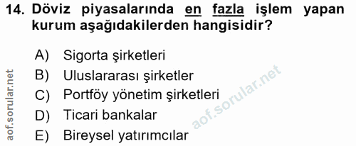 14. soru: Döviz piyasalarında en fazla işlem yapan kurum aşağıdakilerden hangisidir? A) Sigorta şirketleri B) Uluslararası şirk…