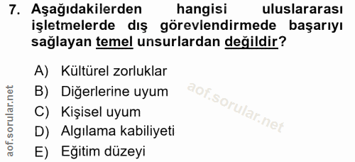 7. soru: Aşağıdakilerden hangisi uluslararası işletmelerde dış görevlendirmede başarıyı sağlayan temel unsurlardan değildir? A…