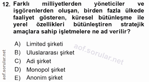 12. soru: Farklı milliyetlerden yöneticiler ve işgörenlerden oluşan, birden fazla ülkede faaliyet gösteren, küresel bütünleşme…