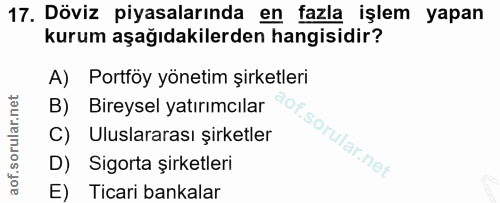 17. soru: Döviz piyasalarında en fazla işlem yapan kurum aşağıdakilerden hangisidir? A) Portföy yönetim şirketleri B) Bireysel…