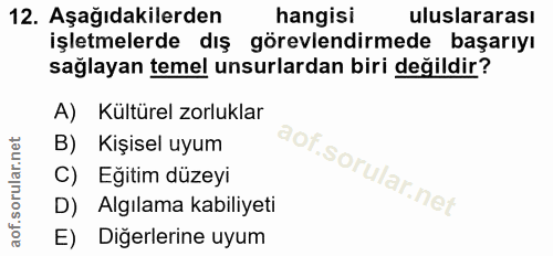 12. soru: Aşağıdakilerden hangisi uluslararası işletmelerde dış görevlendirmede başarıyı sağlayan temel unsurlardan biri değild…
