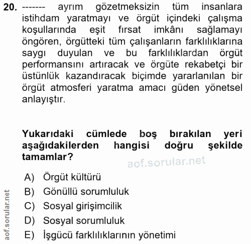 20. soru: - ayrım gözetmeksizin tüm insanlara istihdam yaratmayı ve örgüt içindeki çalışma koşullarında eşit fırsat imkânı sağl…