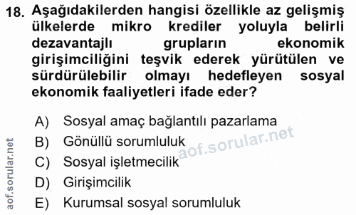 18. soru: Aşağıdakilerden hangisi özellikle az gelişmiş ülkelerde mikro krediler yoluyla belirli dezavantajlı grupların ekonomi…